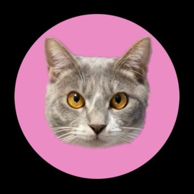 りんご様 - コピー